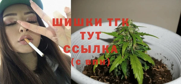 СК Волосово
