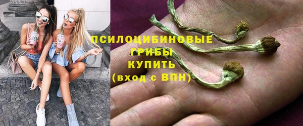 гидра Волоколамск