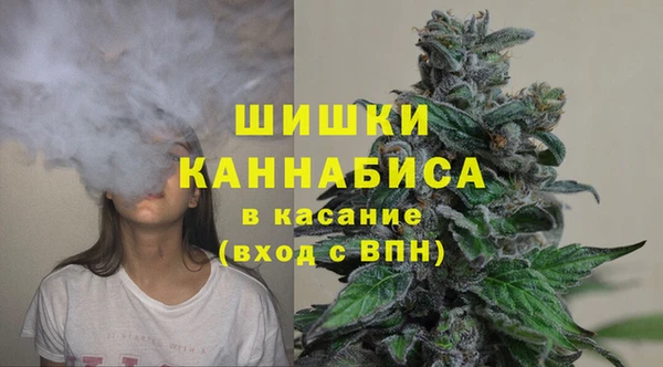 гидра Волоколамск