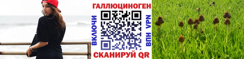 Псилоцибиновые грибы MAGIC MUSHROOMS  это какой сайт  Пикалёво  kraken рабочий сайт 