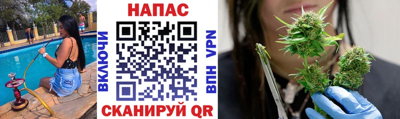 купить  сайты  Пикалёво  Бошки марихуана сатива 